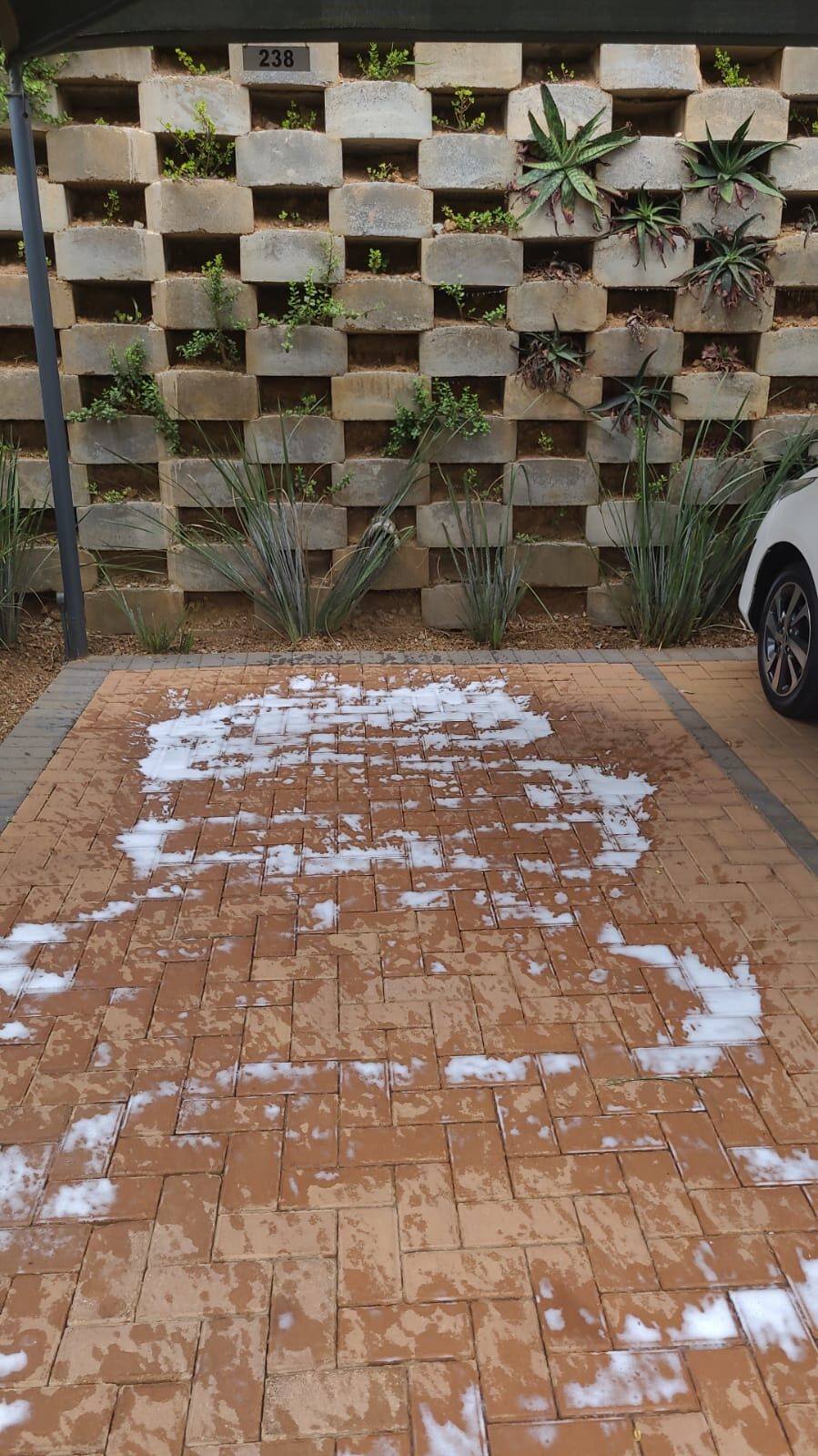 Foam pre-treatment dwelling on residential brick paving before pressure rinse